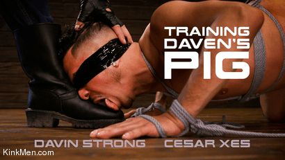 Training Davin's Pig - RAW