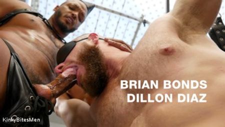 Dillon Diaz and Brian Bonds: Right Where I Want You