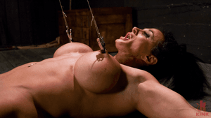 Photo number 16 from PecPanther: Nationally-ranked Bodybuilder Bound and Made to Cum shot for Hogtied on Kink.com. Featuring PecPanther in hardcore BDSM & Fetish porn.